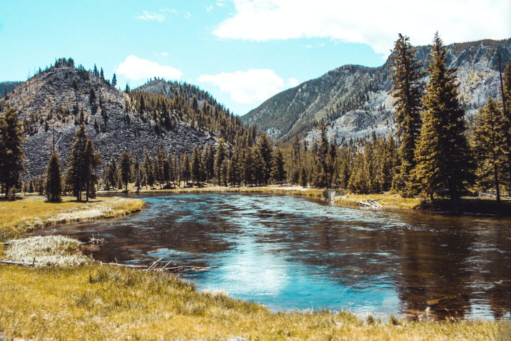 River valley captured in Yellowstone National Park, Wyoming USA