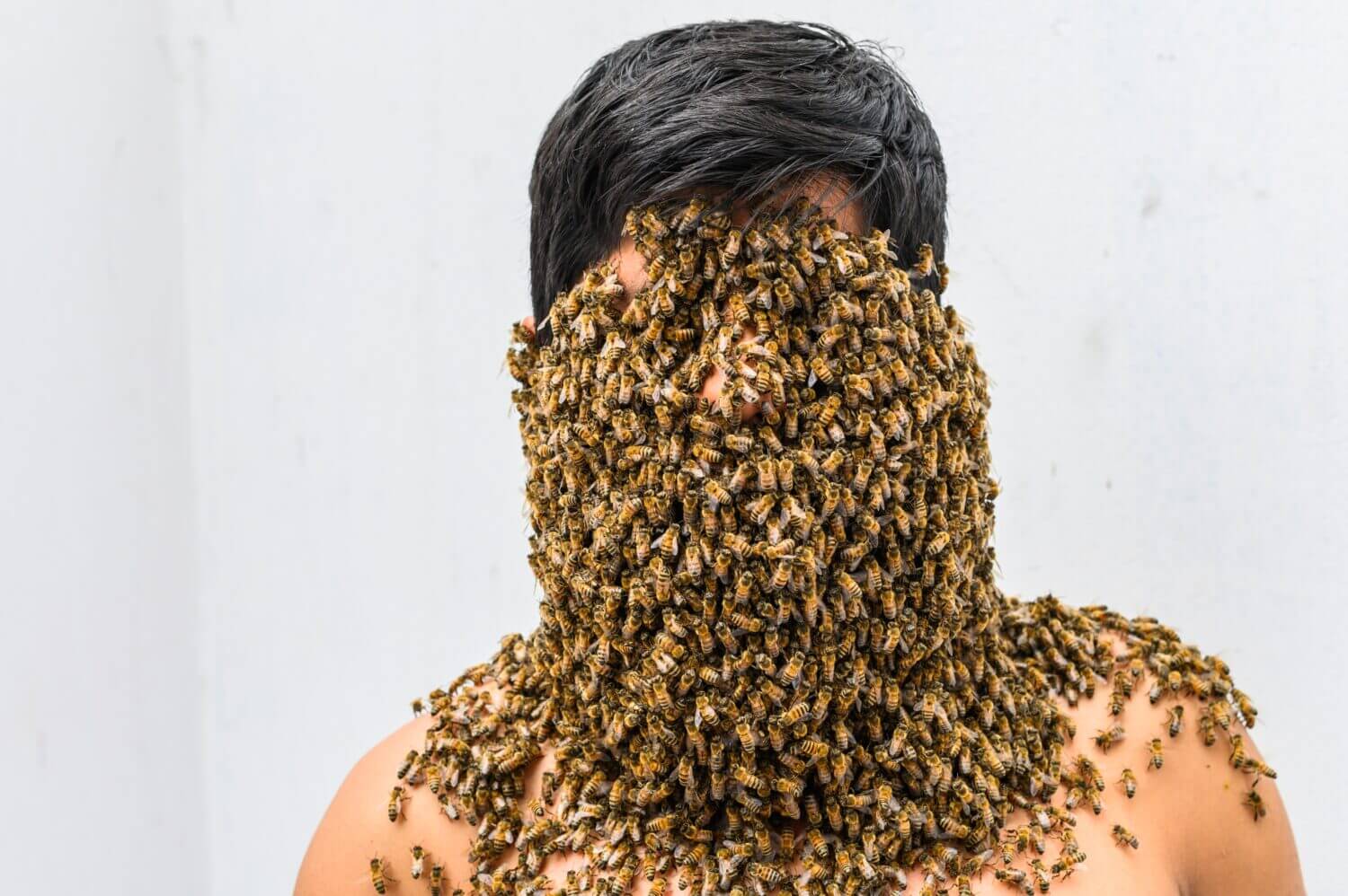 Beekeeper covered by bees, he has the queen bee on his neck so all the bees stick to his body. surrealism