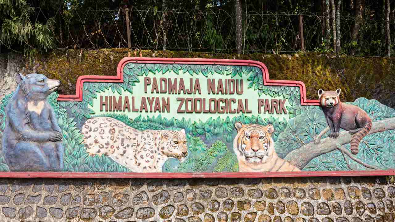 himalayan zoo, kathmandu, nepal