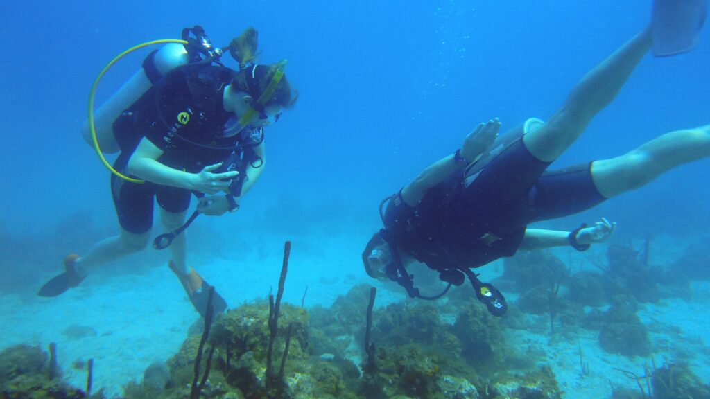 a couple of scuba divers under water
