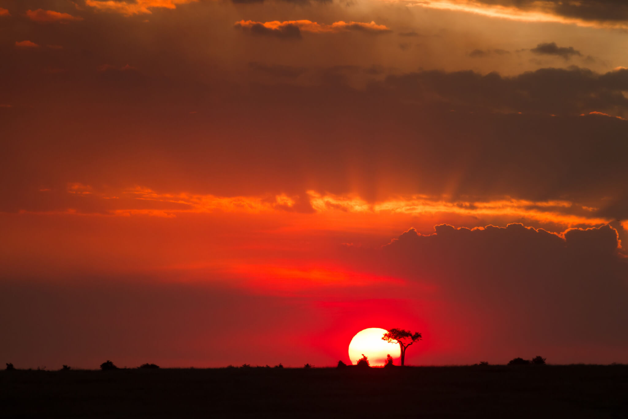 masai mara sunset, kenya