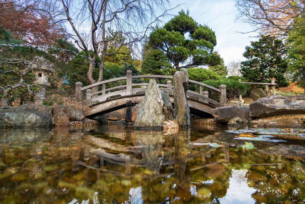 Pool and bridge detail in the Japanese Garden at Hillwood Estate, in Washington, D.C.