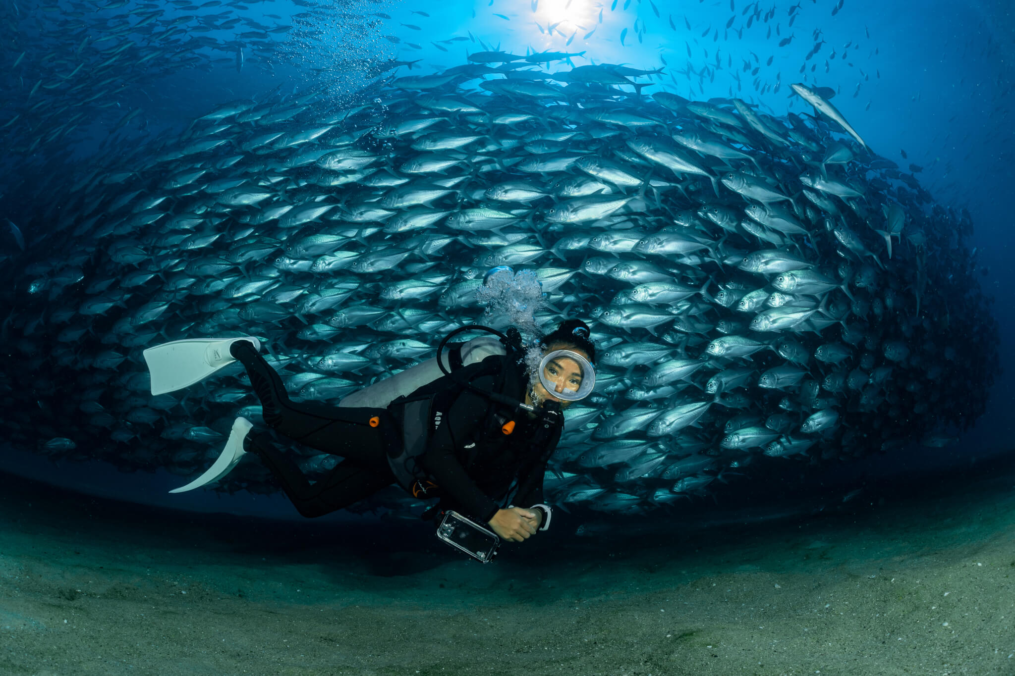 scuba diver with Cabo Pulmo jack tornado under sunny sky