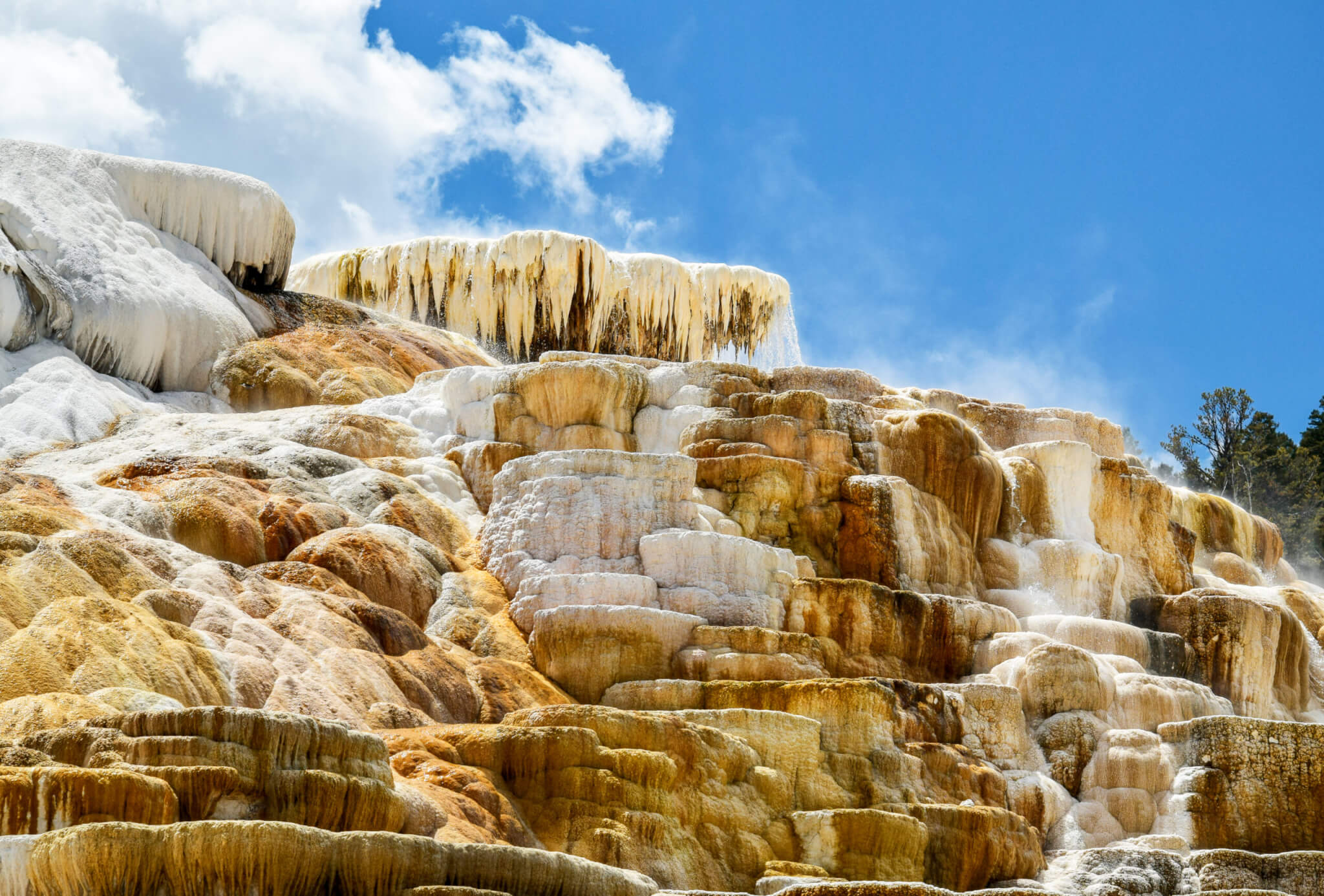 The mammoth hot springs in yellowstone park