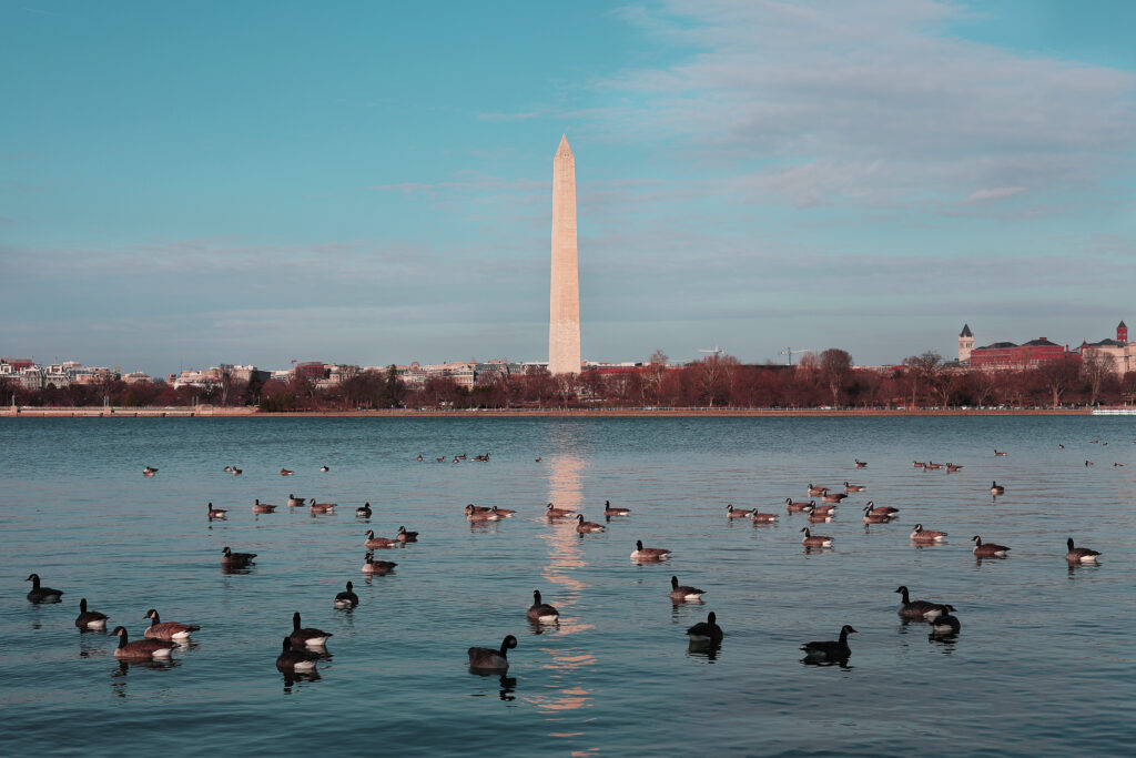 Washington monument usa