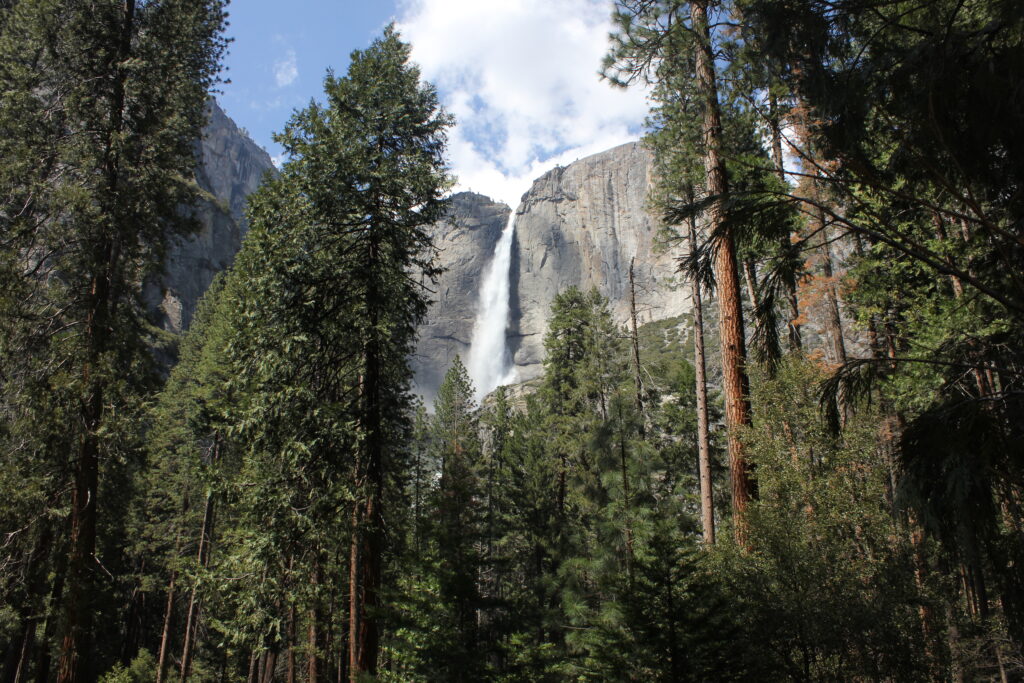 Yosemite falls in yosemite national park