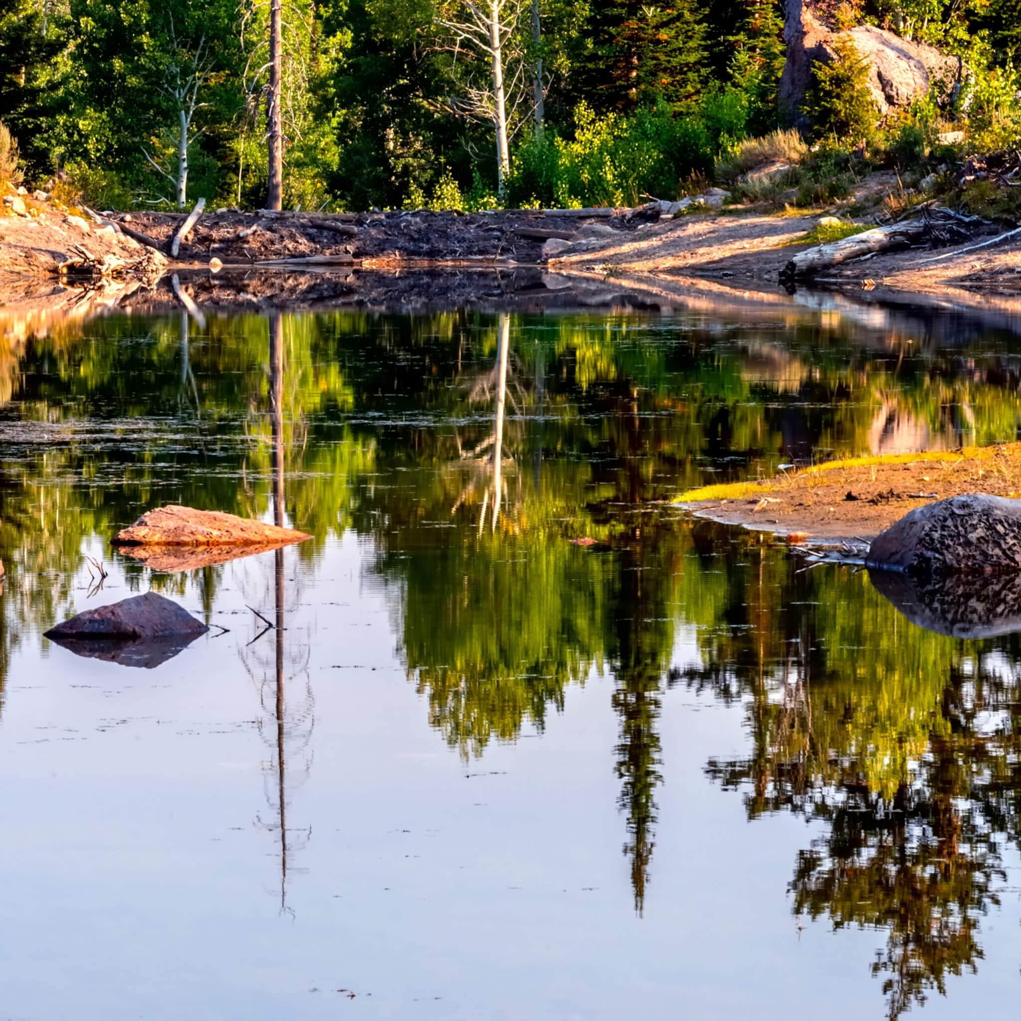 Bloomington Lake Reflections