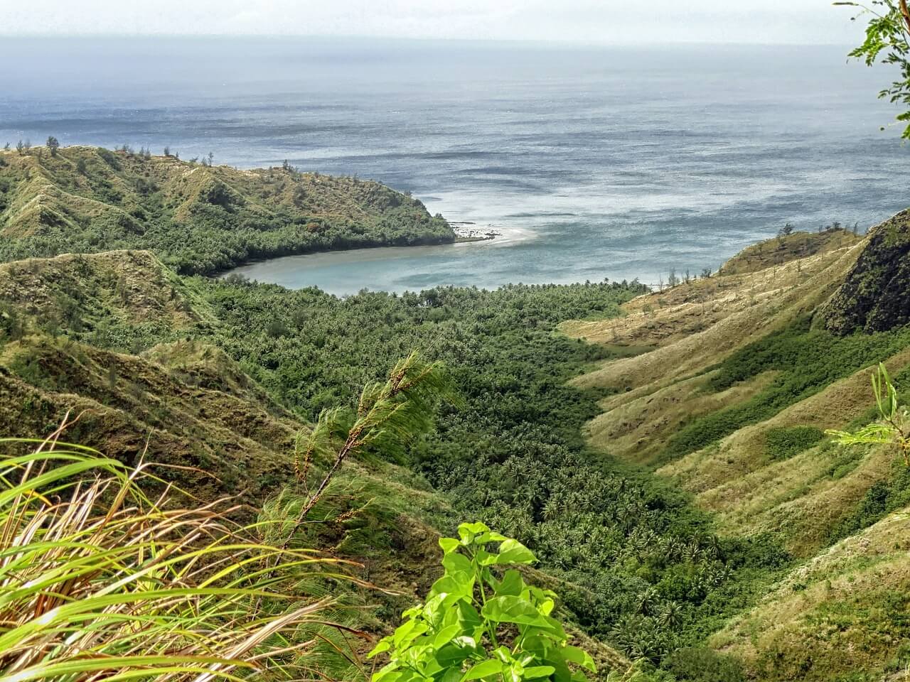 cetti bay, guam, forest