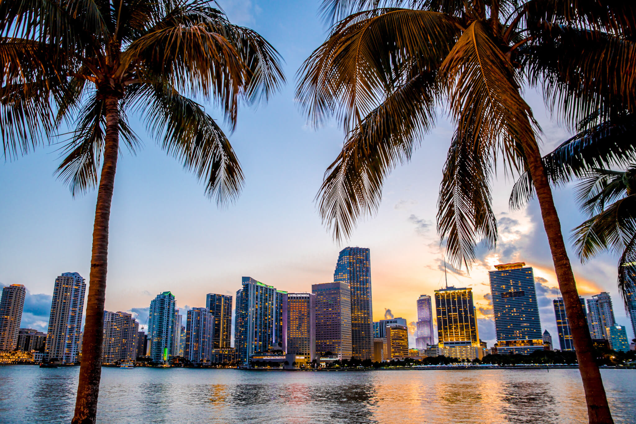 Miami, Florida skyline and bay at sunset seen through palm trees