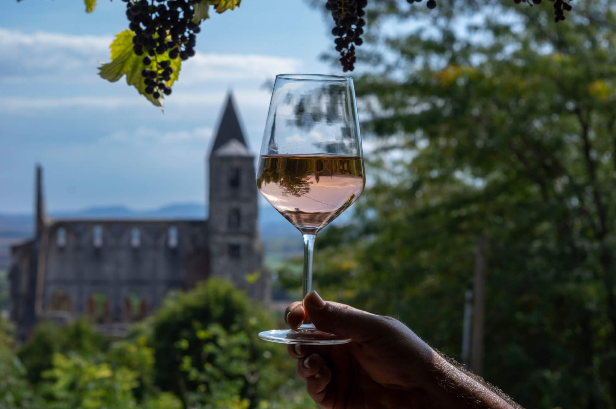 Tasting a glass of rose wine in Zsambek Hungar which is part of the Etyek Wine Region. In the background there is the old monastery church ruin.