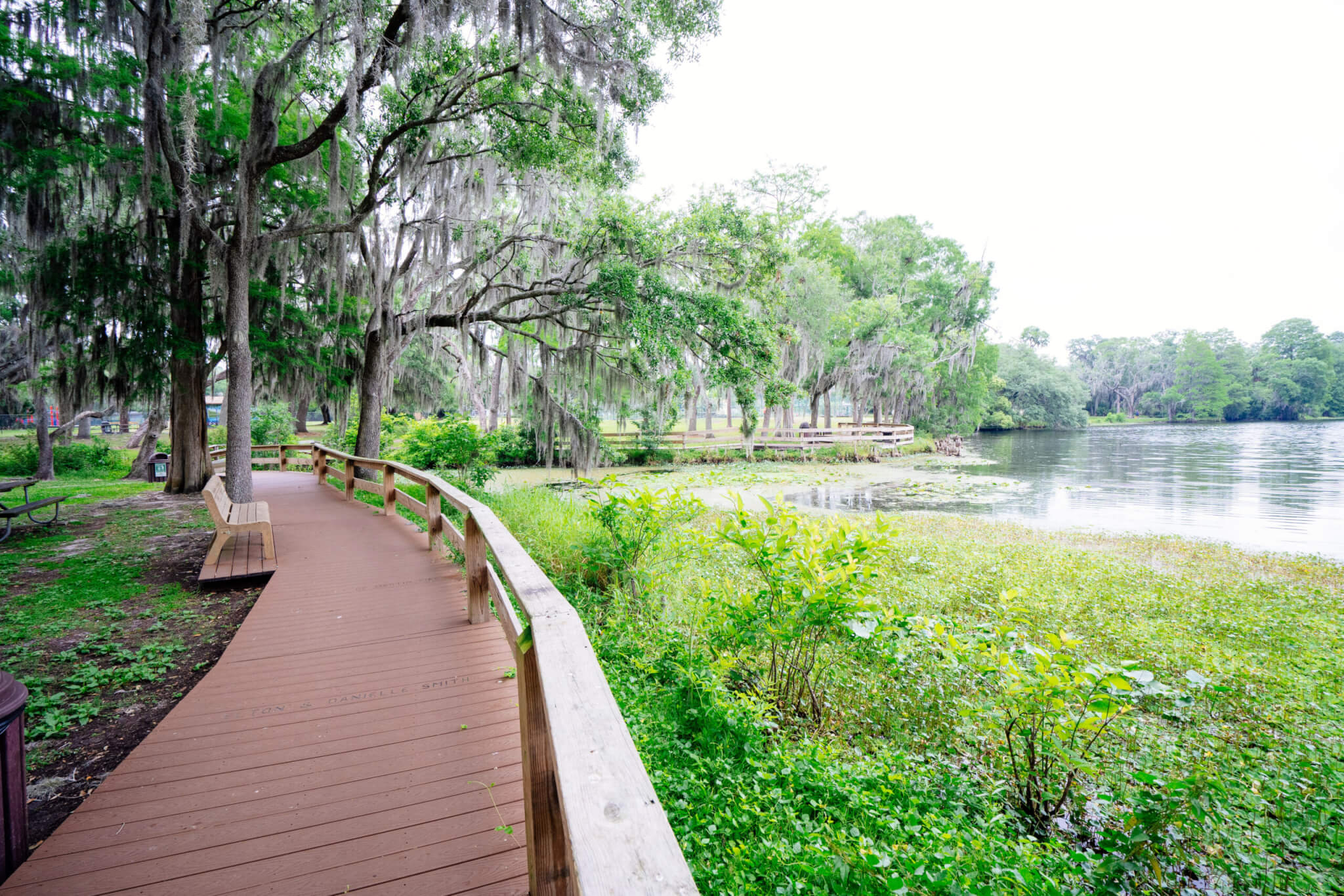 The landscape of Hillsborough river bank at Tampa, Florida