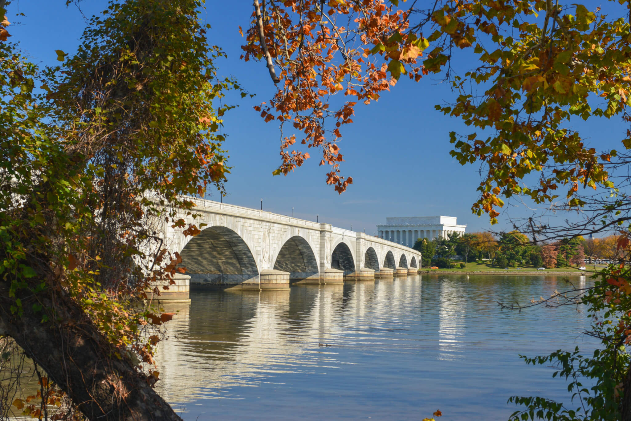 Washington D.C. in autumn foliage - Memorial Bridge and Potomac Rİver
