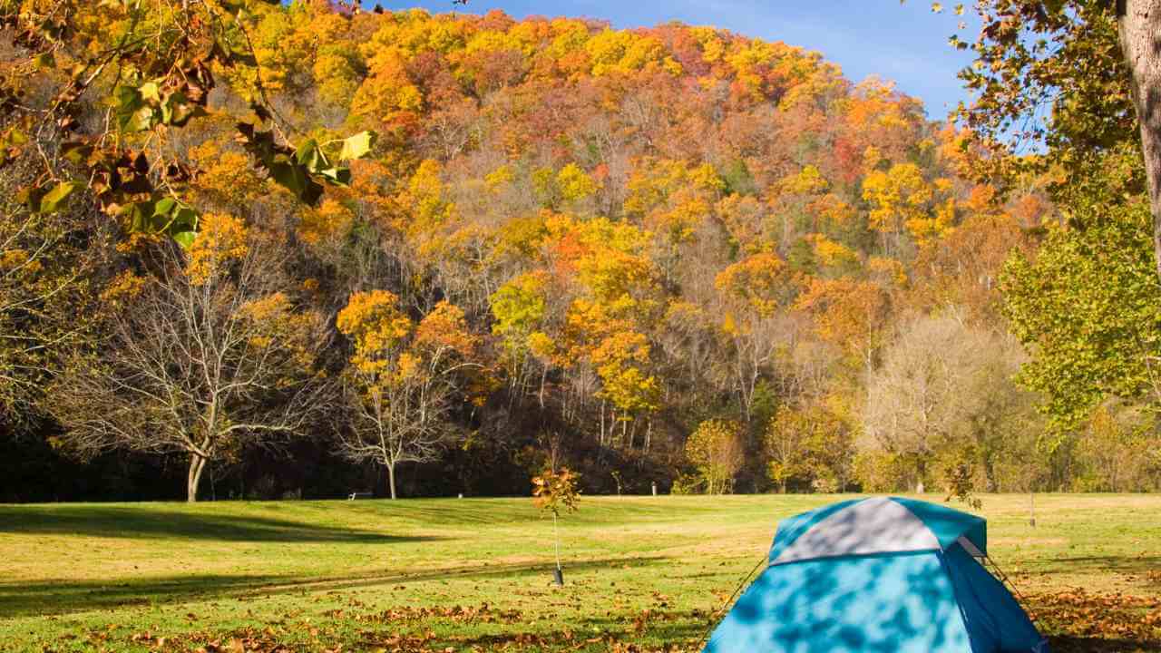 a blue tent is set up in the middle of a field