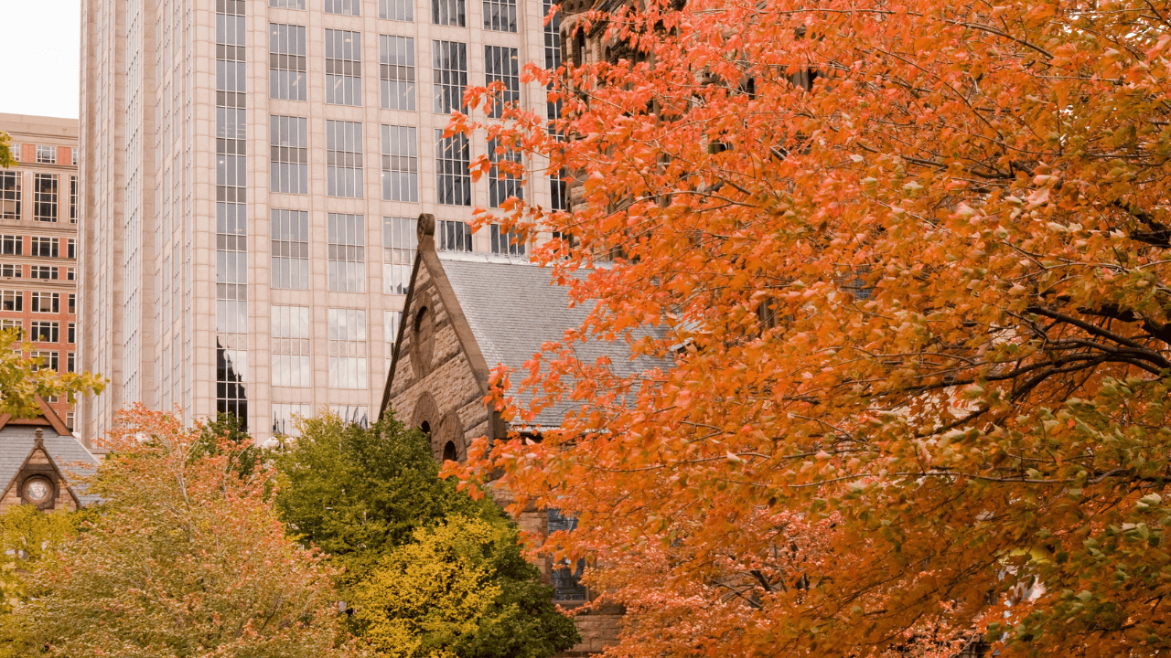 a city street with tall buildings in the background