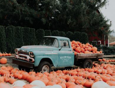 A charming, rusty old truck in a pumpkin patch