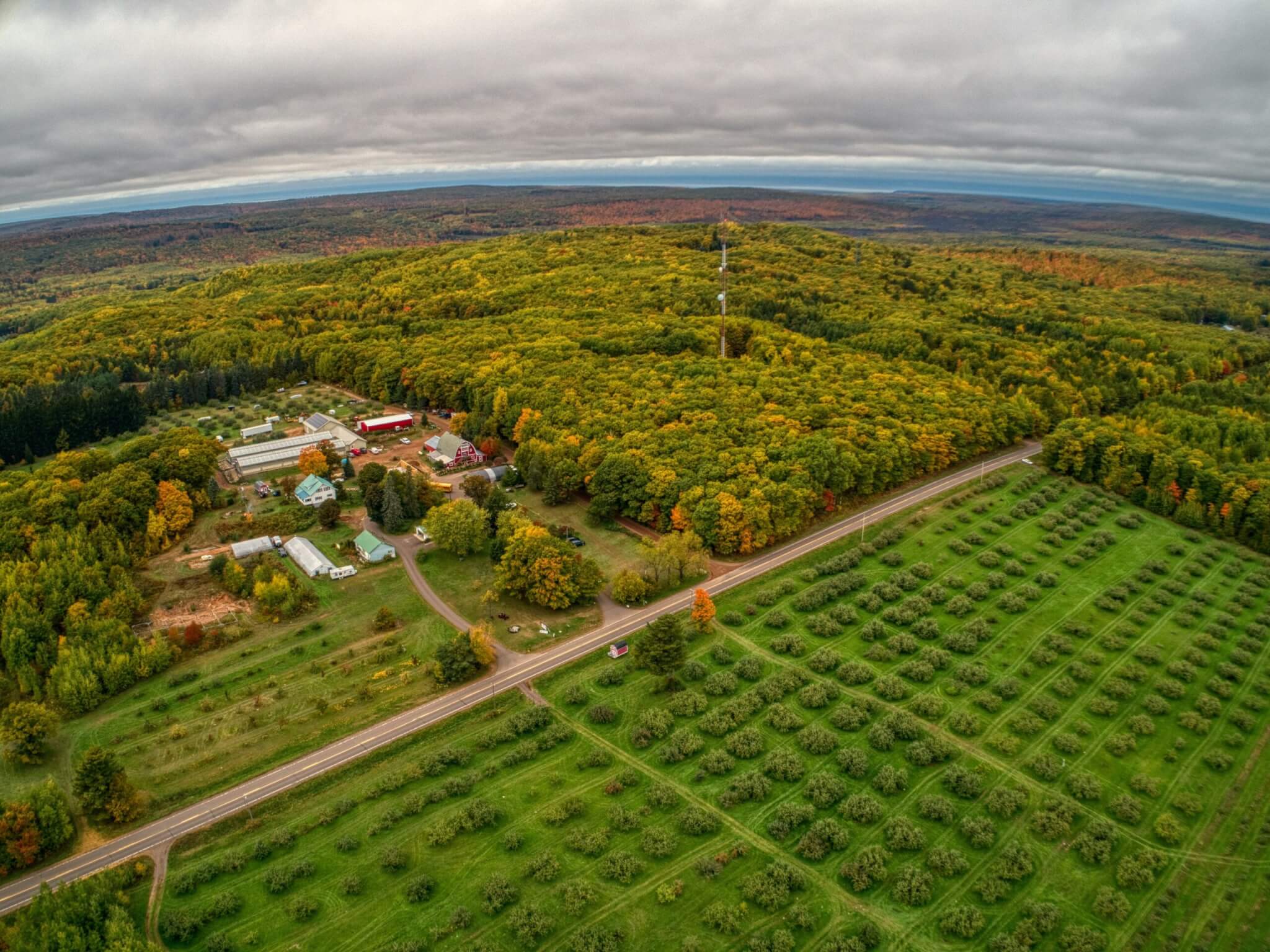 Aerial View of an Apple Orchard near Bayfield, Wisconsin during Autumn