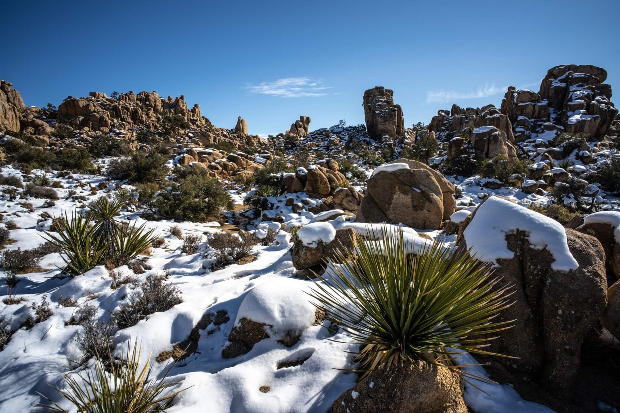 Joshua Tree's Hidden Valley under a blanket of snow during New Year's Eve. A rock climber in the distance.