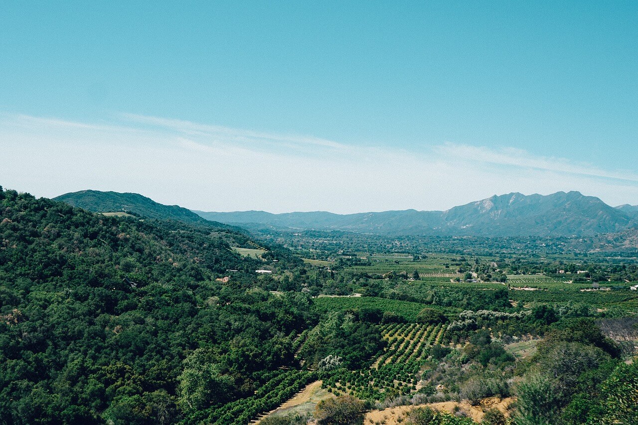 ojai, california, vineyards