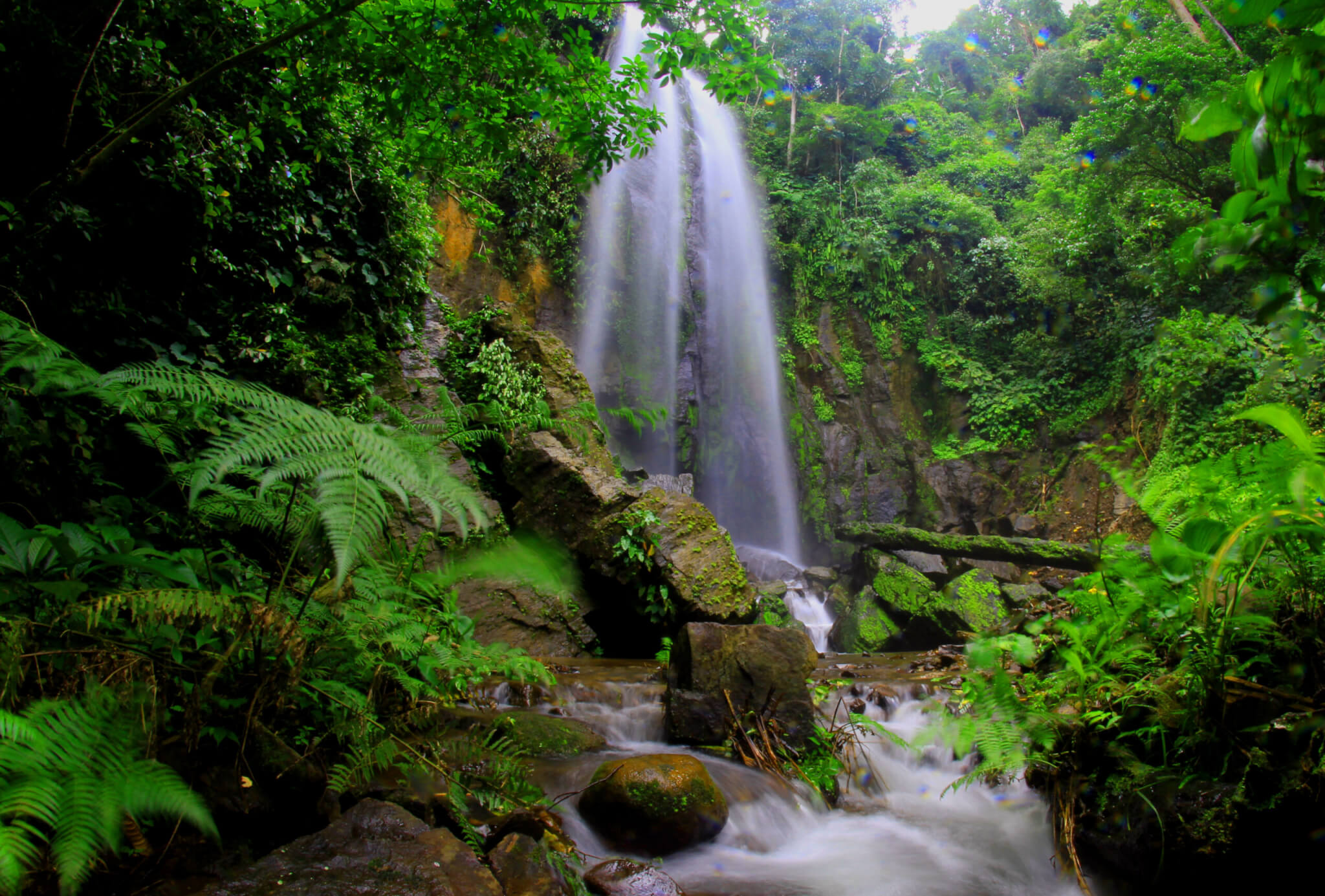Selective focus photography of waterfalls