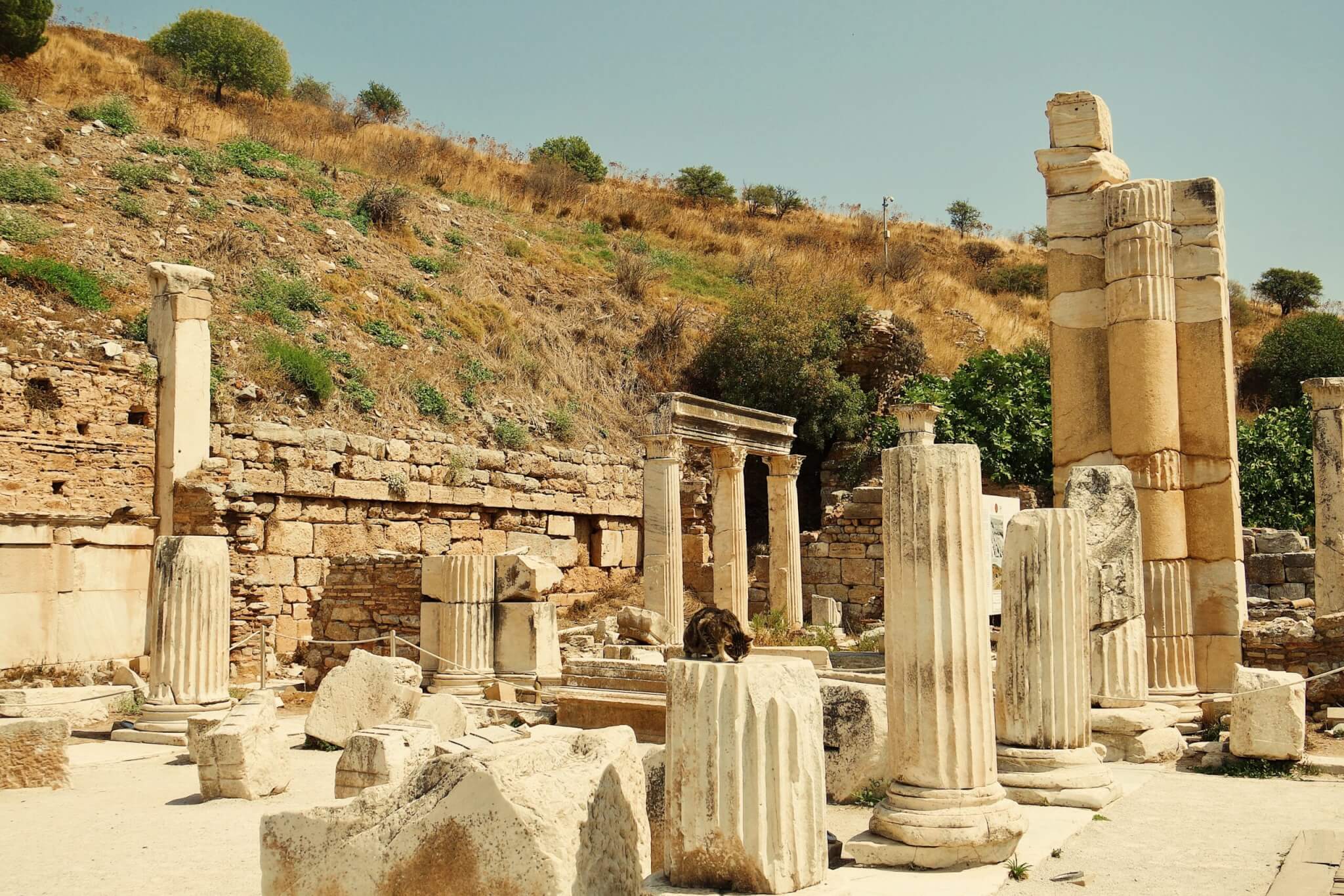 The ruins of ephesus in greece