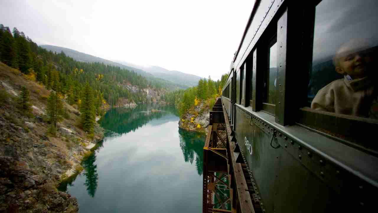 a person is looking out the window of a train