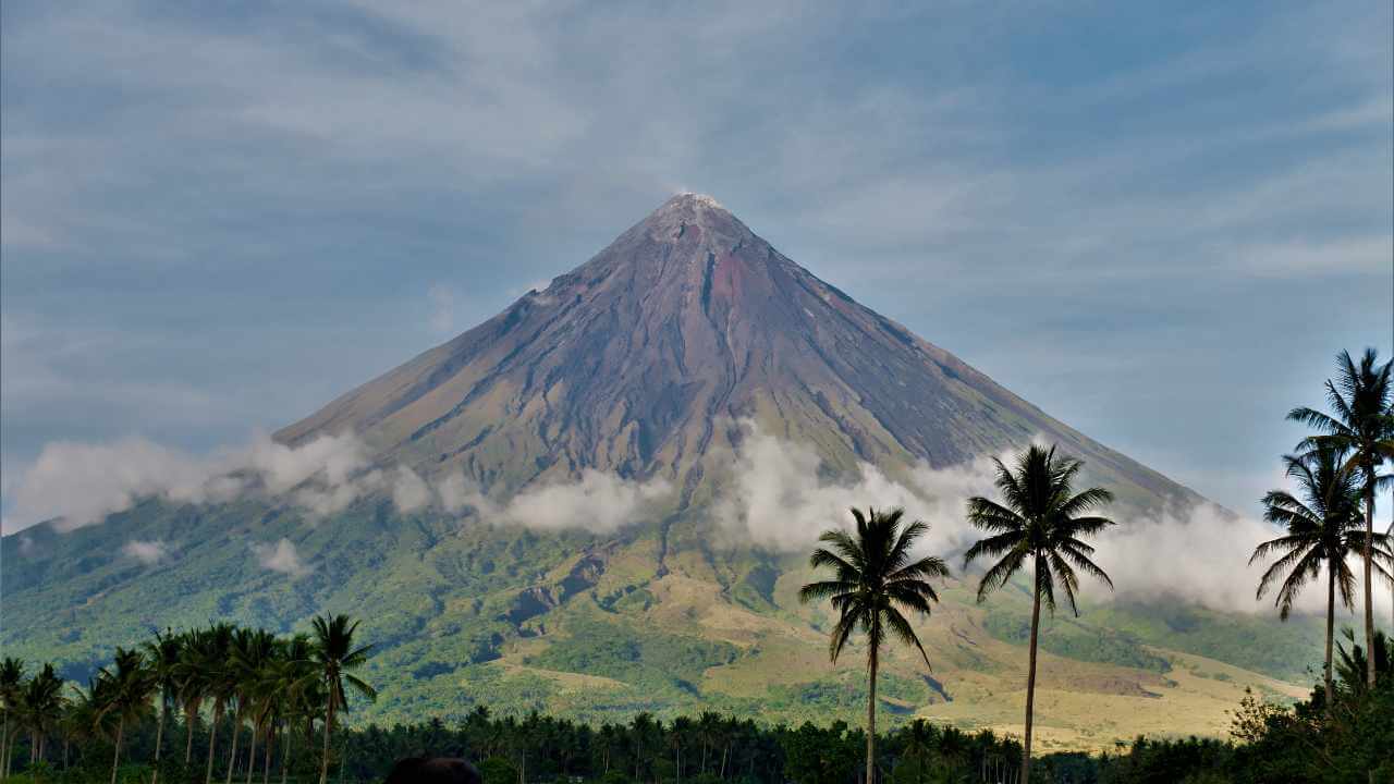 a person is standing in front of a mountain with palm trees