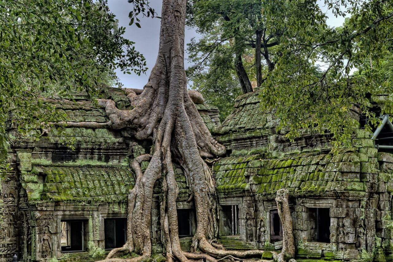 ancient, angkor, angkor wat temples