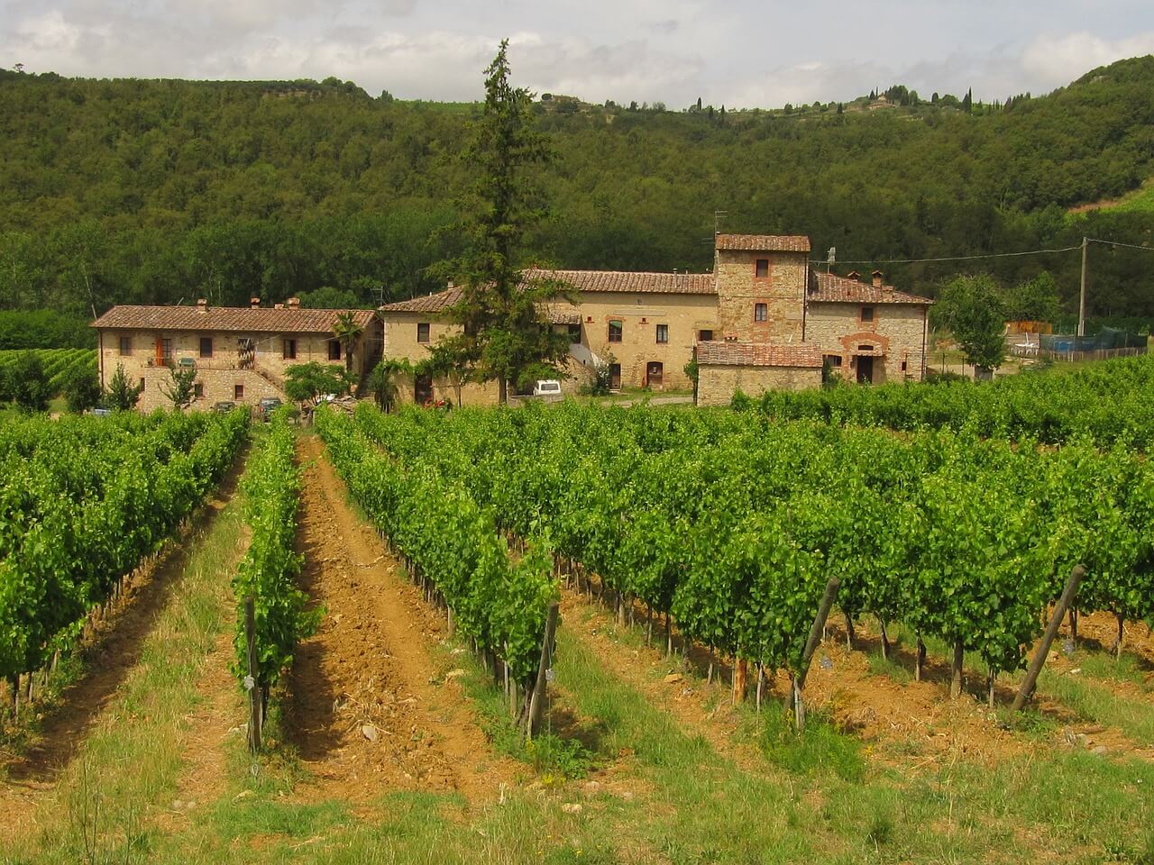 chianti mountains, tuscany, wine
