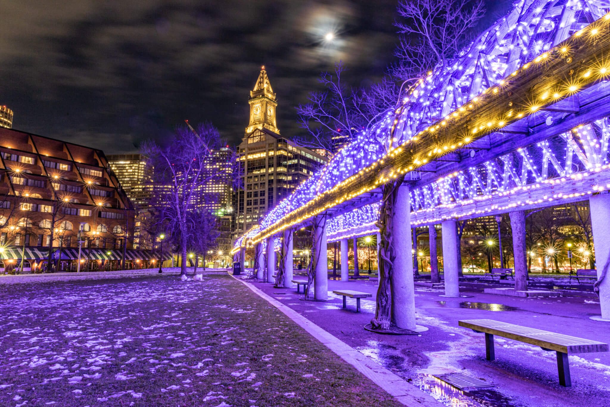 Festive park sparkling with lights at night with the moon above.