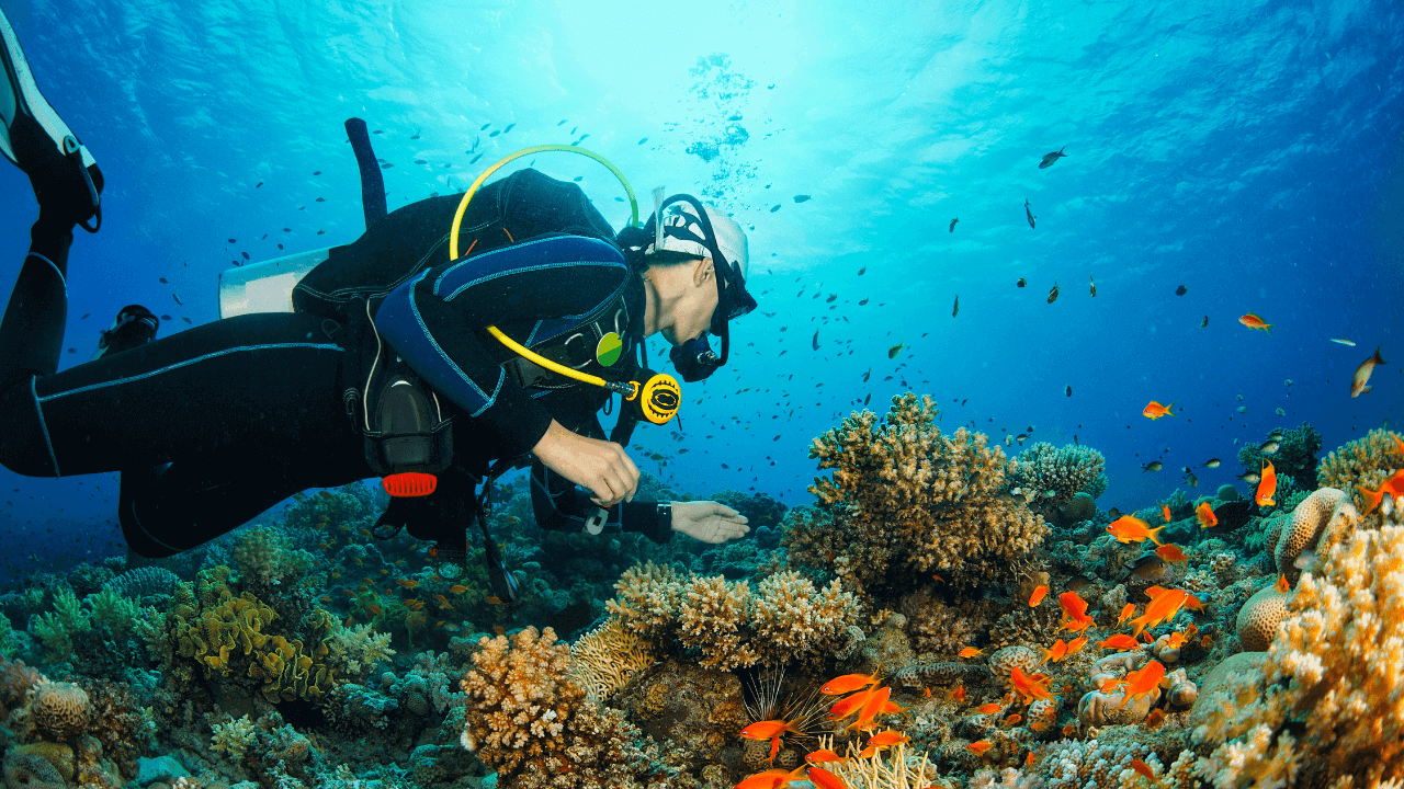 guy scuba diving and with coral reefs