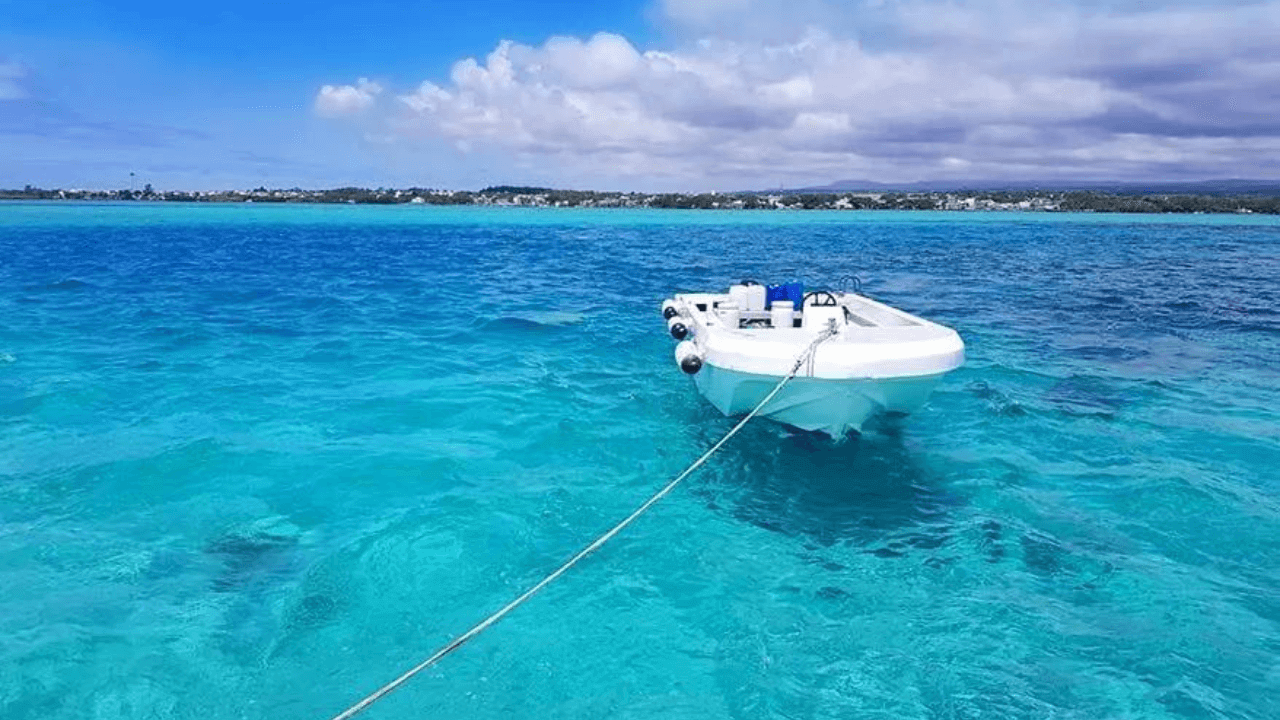 catamaran boat tour in the ocean by mauritius  island 