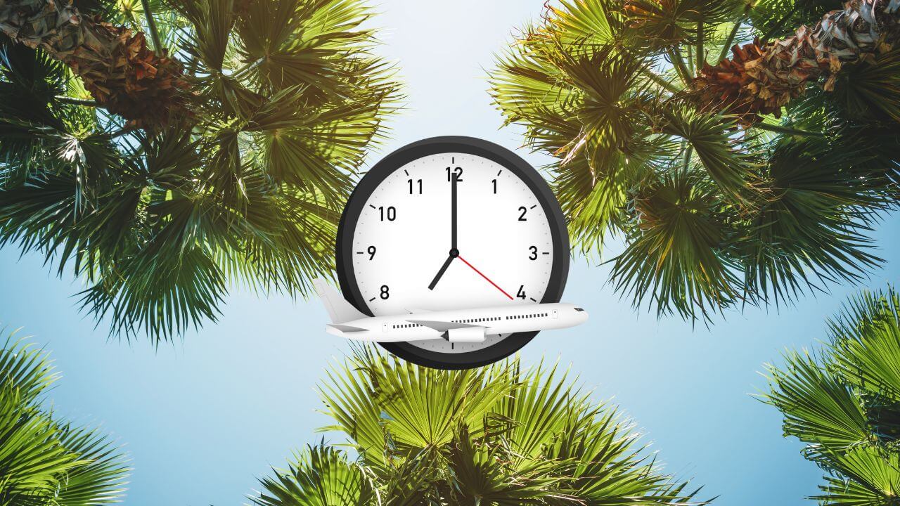clock with plane in front of it and a palm tree babckground