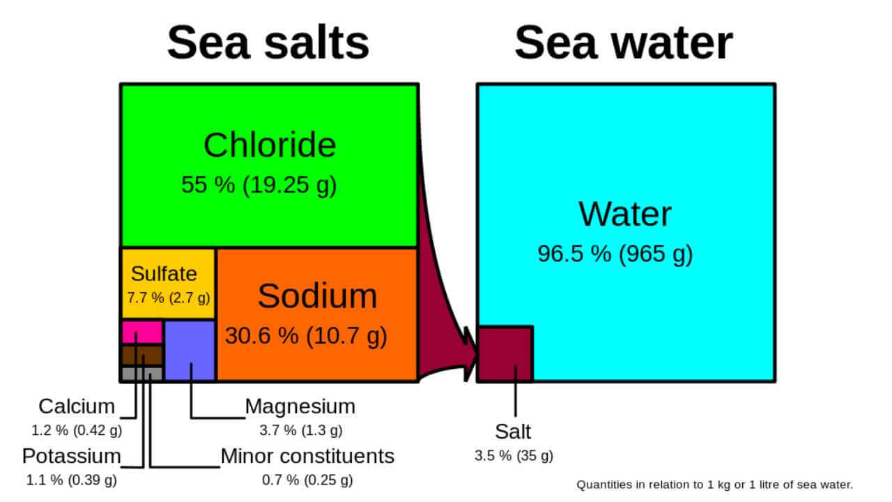 infographic of hoe salinity affects the ocean 