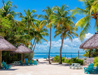 Palm trees and umbrellas in beautiful beach in tropical island resort, Key Largo. Florida