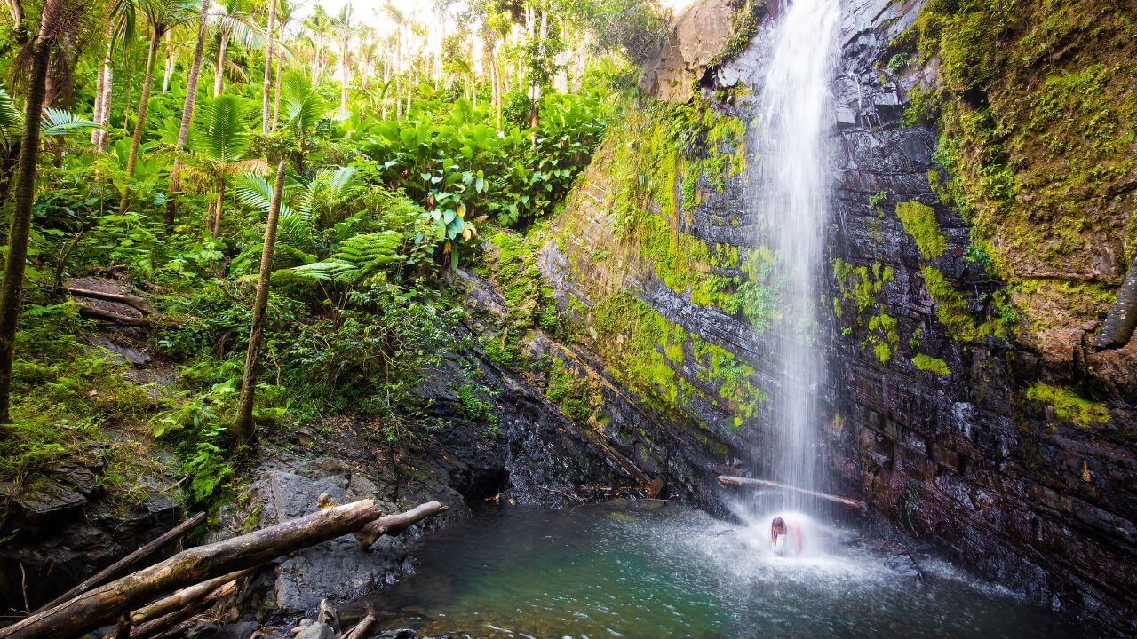 a person is standing in front of a waterfall in the jungle