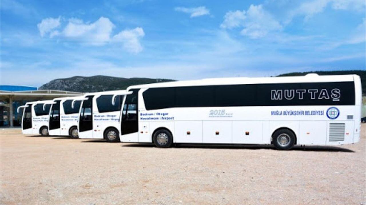 another bus route and company to take as transportation in turkey