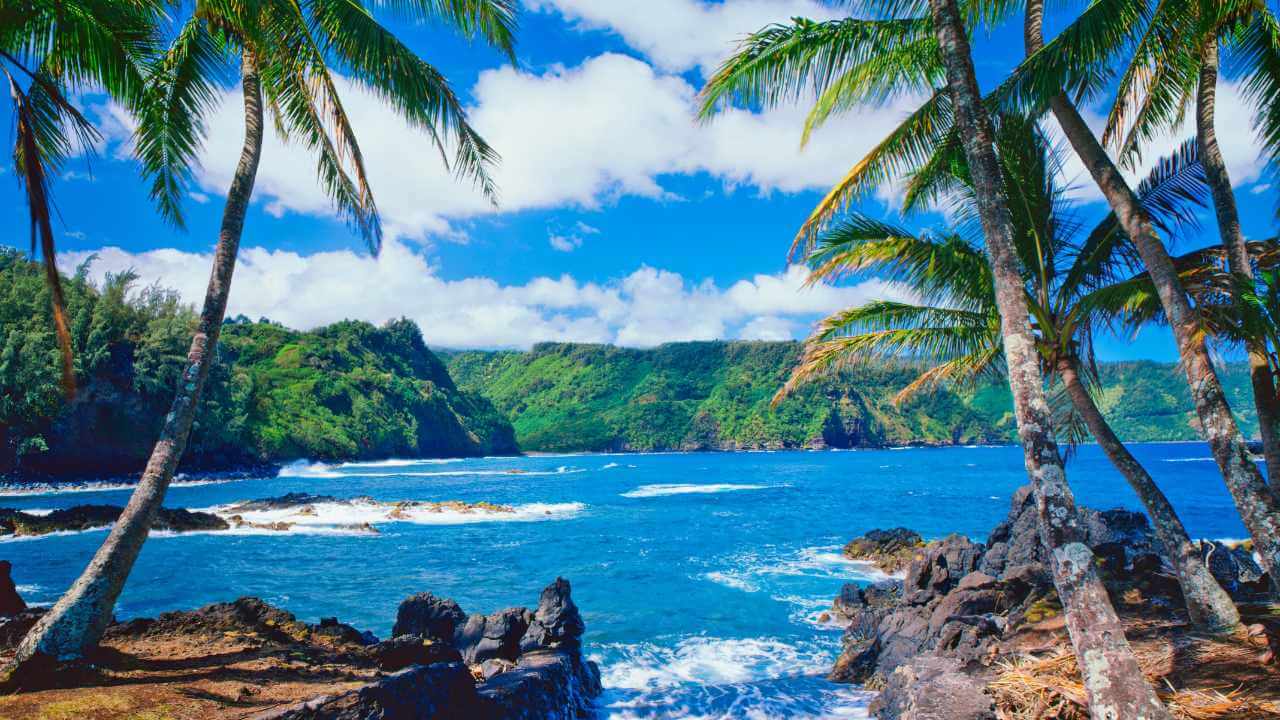 ocean, palm trees and mountains from hawaii