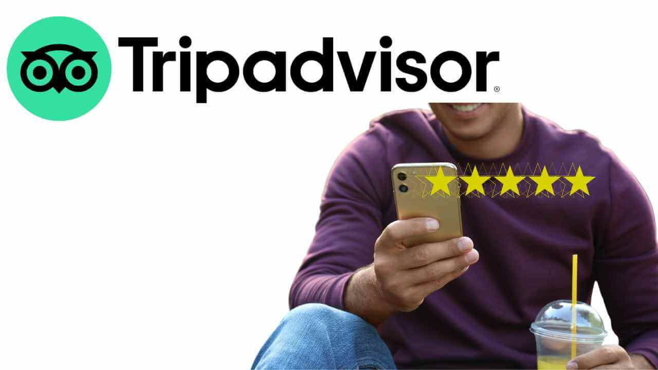 person looking up reviews for avelo airlines on tripadvisor