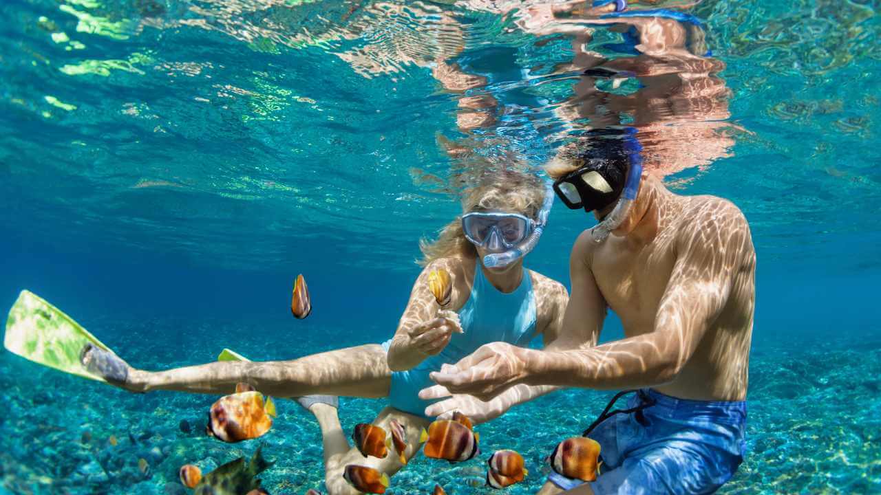 two people snorkeling with fish is crystal clear waters