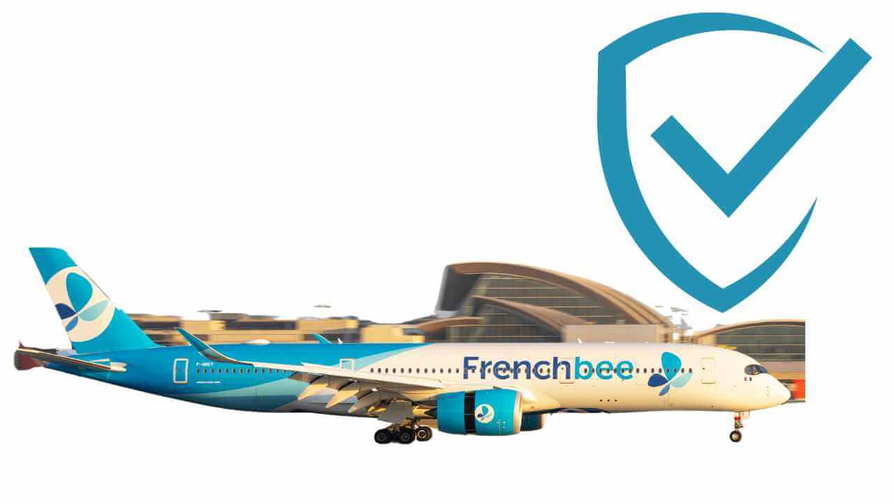 safety check for french bee airplane