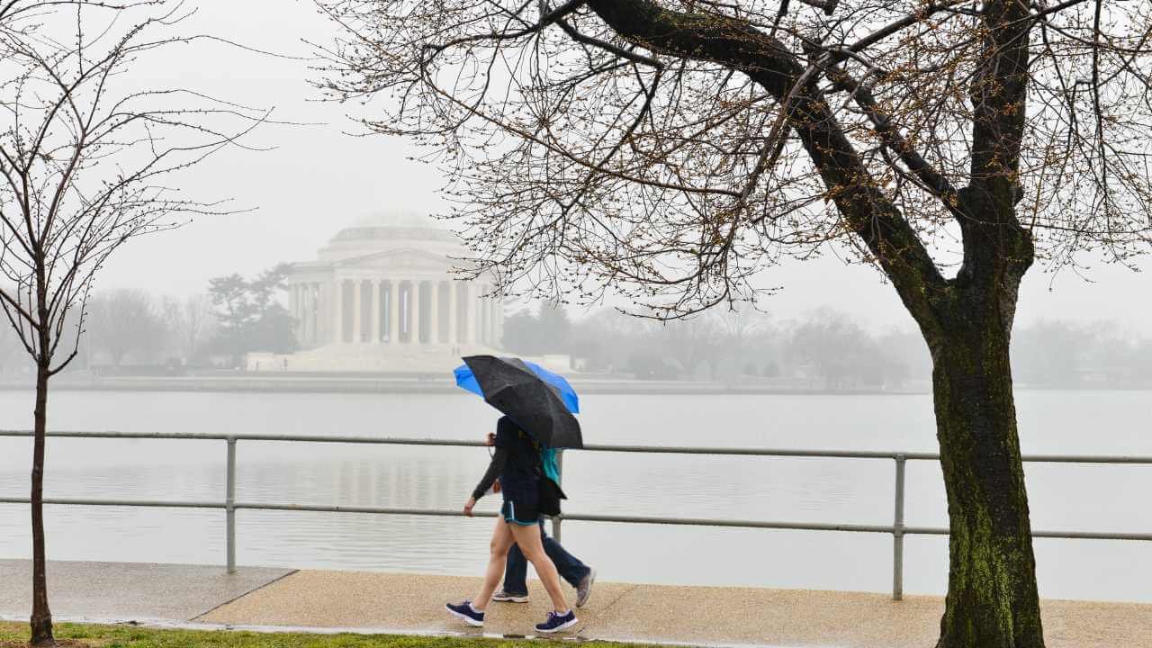 people walking in the rain with umbrellas in front of monuments 