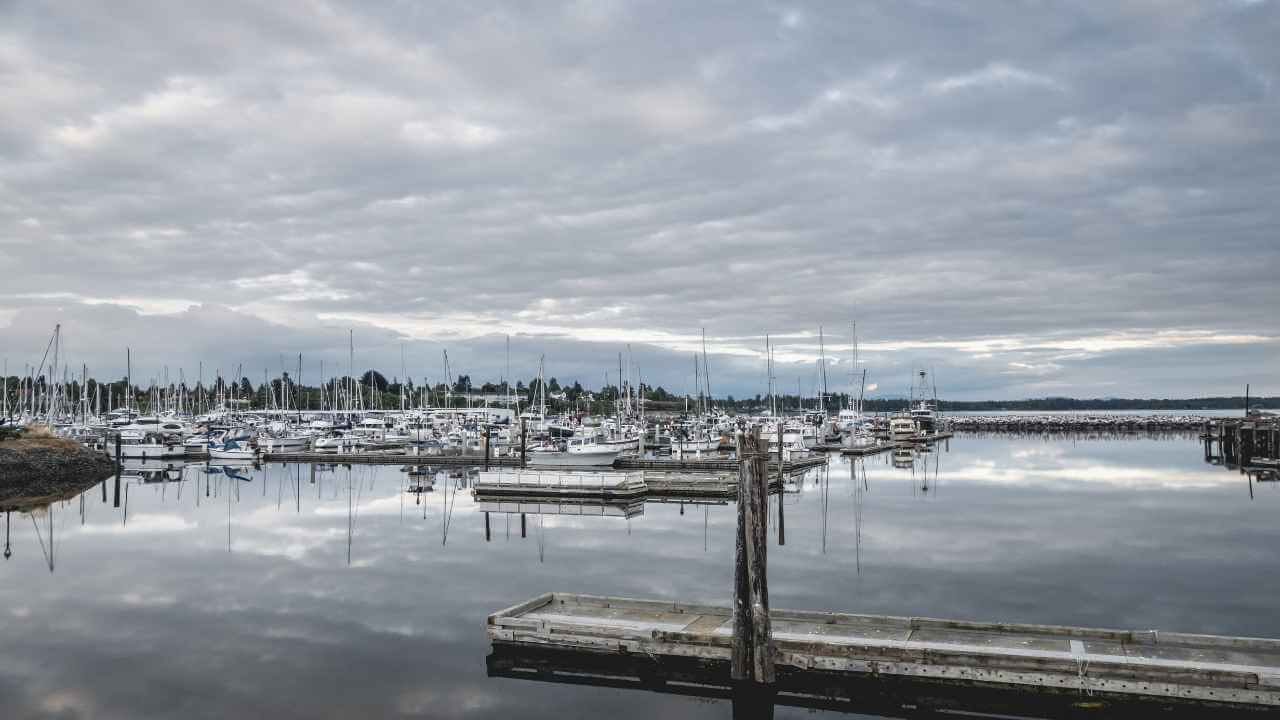 boats are docked at a marina under a cloudy sky