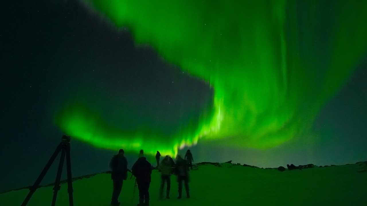 people on a tour viewing the greenish blue northern lights