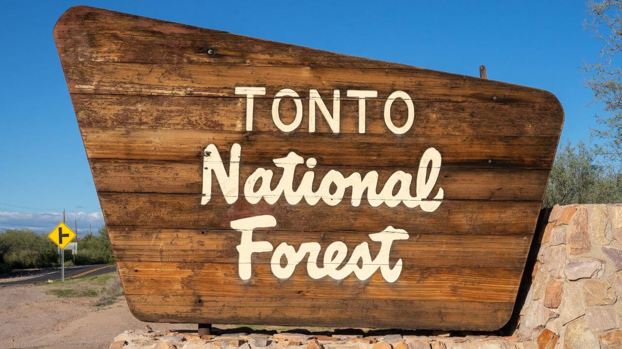 view of tonto national forest sign