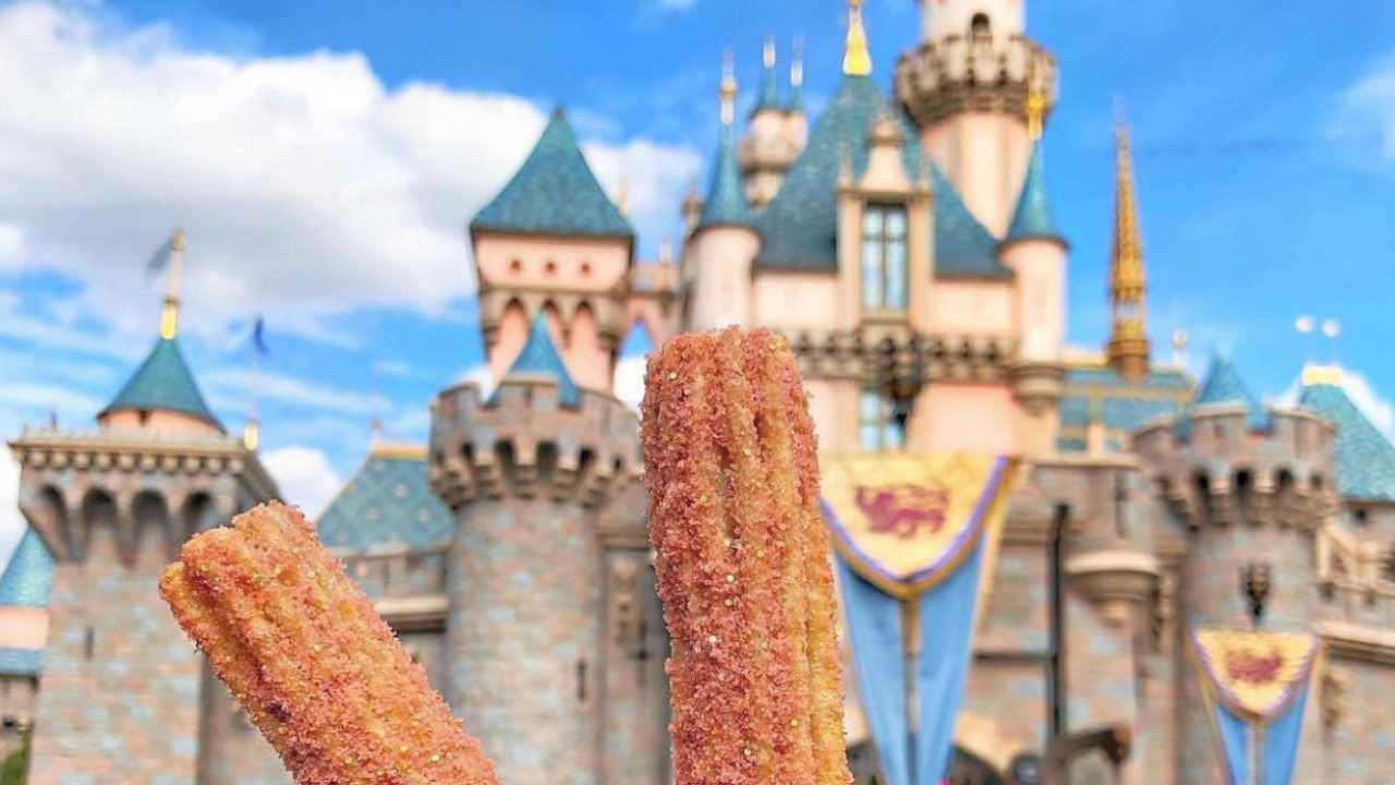 two churros in front of disneyland pink castle 