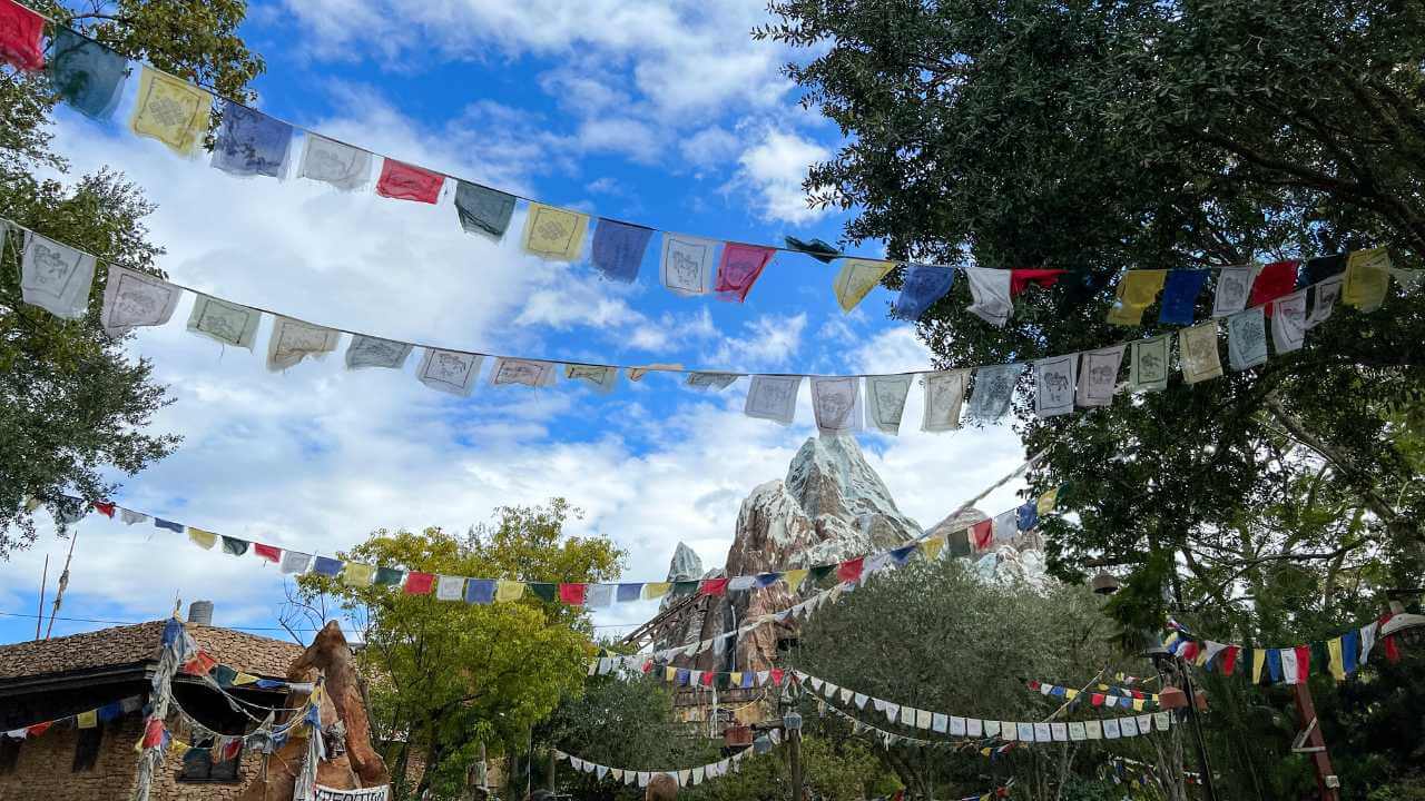 flags and mount everest in the background in animal kingdom