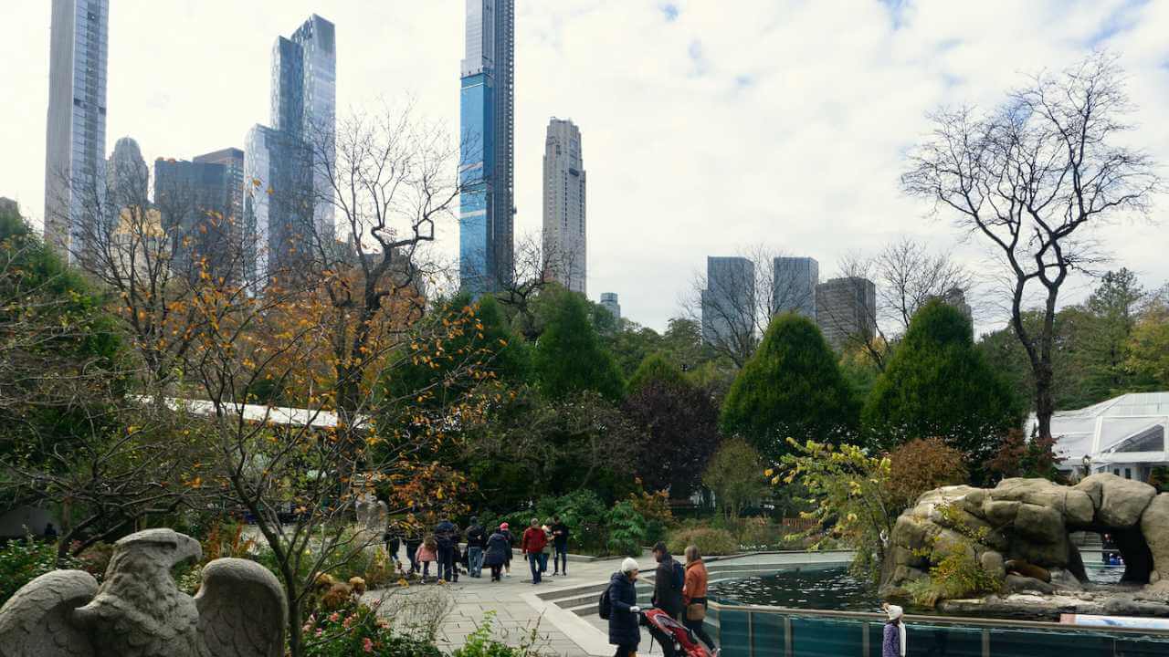pov of person walking in central park with buildings in the back