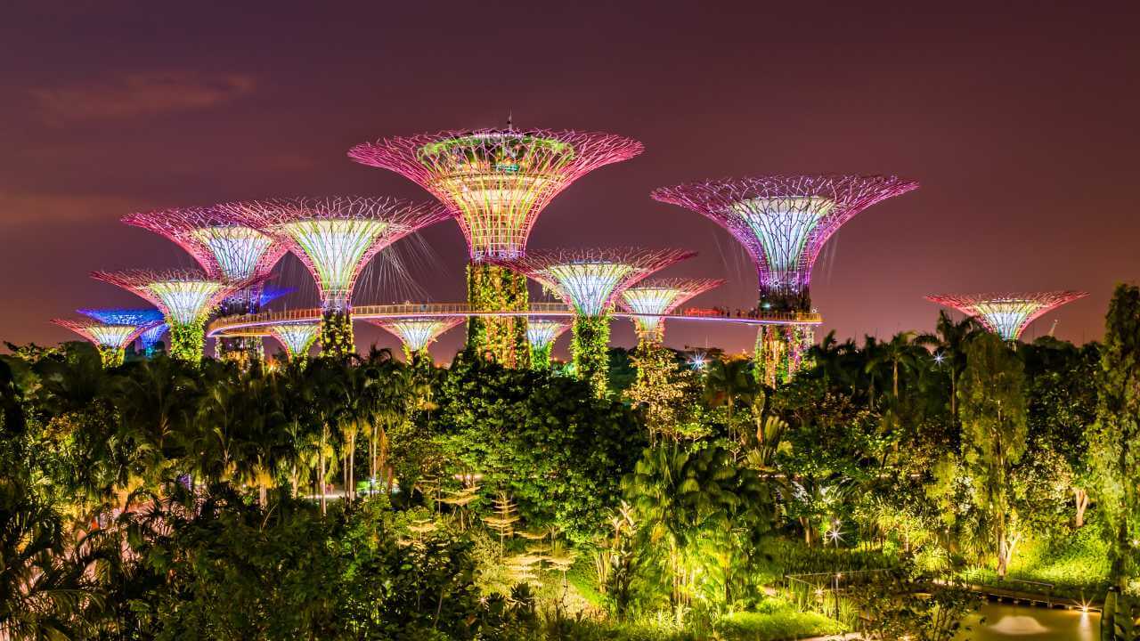 gardens of eden by the bay lit up