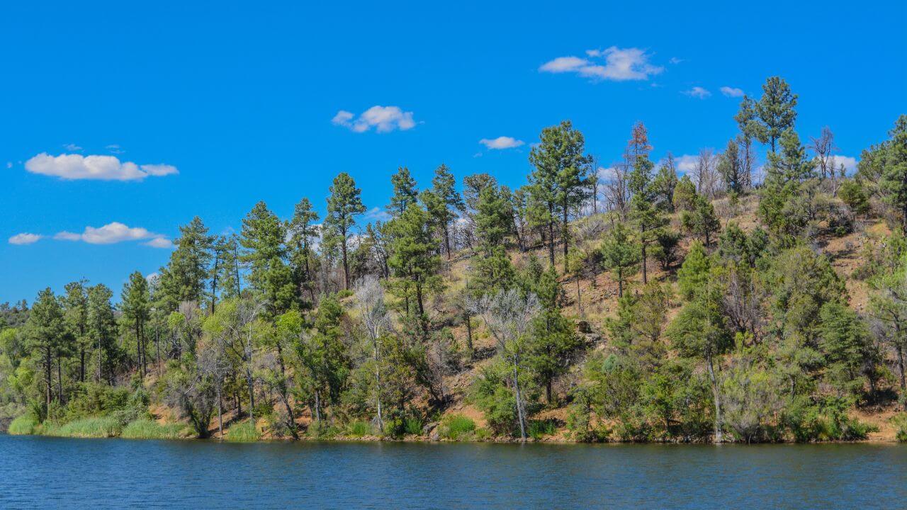 a lake surrounded by trees and a blue sky