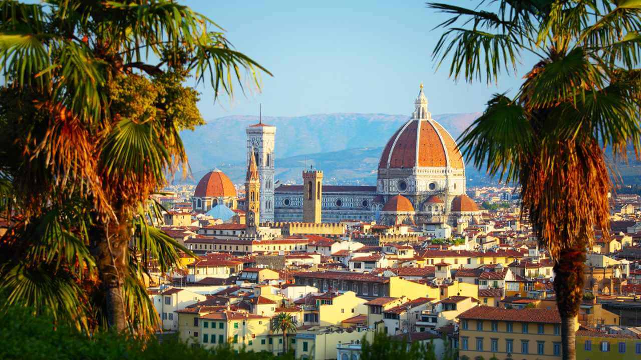 palm trees and ancient buildings in florence